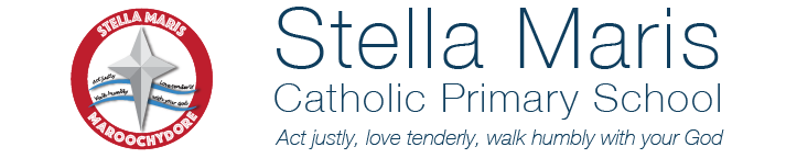 LIFE_Stella3_banner_banner.png